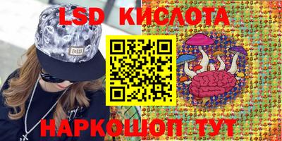 шишки Сланцы