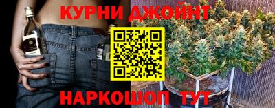 шишки Сланцы