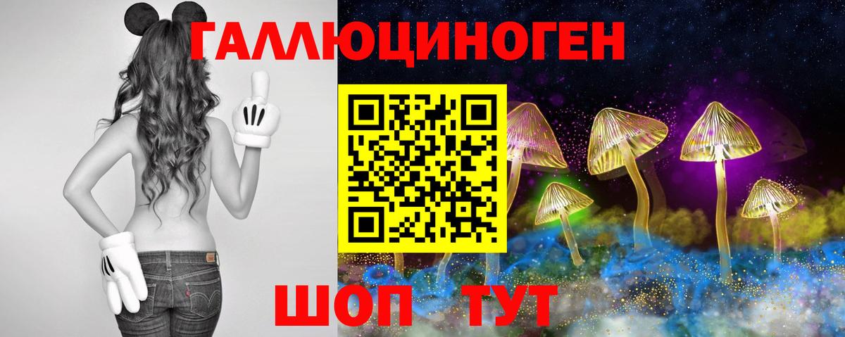 Реутов  Галлюциногенные грибы Psilocybe  Вход с VPN 